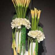 ヒメ日記 2026/03/04 19:03 投稿 かおり 水戸人妻花壇