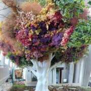 ヒメ日記 2026/03/05 15:04 投稿 かおり 水戸人妻花壇