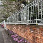 ヒメ日記 2026/04/09 19:21 投稿 かおり 水戸人妻花壇