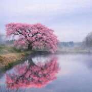 ヒメ日記 2026/04/10 10:26 投稿 かおり 水戸人妻花壇