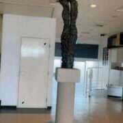 ヒメ日記 2026/04/11 13:04 投稿 かおり 水戸人妻花壇