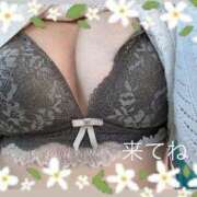 ヒメ日記 2026/04/16 23:44 投稿 かおり 水戸人妻花壇