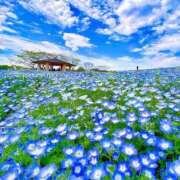 ヒメ日記 2026/04/21 17:53 投稿 かおり 水戸人妻花壇