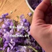ヒメ日記 2026/05/01 06:21 投稿 かおり 水戸人妻花壇