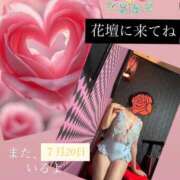ヒメ日記 2026/06/30 10:21 投稿 かおり 水戸人妻花壇