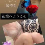 ヒメ日記 2026/09/09 12:08 投稿 かおり 水戸人妻花壇