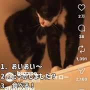 ヒメ日記 2026/10/07 14:04 投稿 かおり 水戸人妻花壇