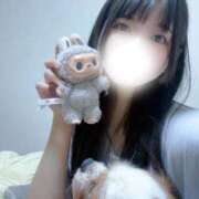 ヒメ日記 2025/09/17 21:22 投稿 にこ E+アイドルスクール品川店