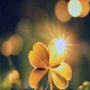 ヒメ日記 2026/01/02 18:58 投稿 新垣みさ子 五十路マダム 岐阜店