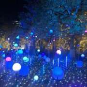 ヒメ日記 2025/11/25 02:13 投稿 つばさ 東京エステコレクション 新橋・銀座