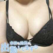 ヒメ日記 2025/11/24 13:10 投稿 いやし 加古川10,000円ポッキー