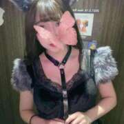 ヒメ日記 2025/10/30 23:28 投稿 はな CECIL