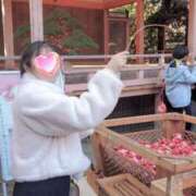 ゆずは おはよう🤗 奥様メモリアル