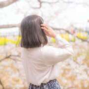 ヒメ日記 2026/04/02 09:42 投稿 ゆずは 奥様メモリアル