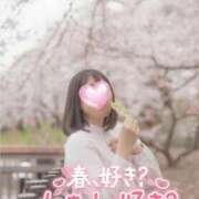 ヒメ日記 2026/04/03 21:48 投稿 ゆずは 奥様メモリアル