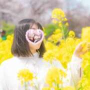 ヒメ日記 2026/04/04 10:18 投稿 ゆずは 奥様メモリアル