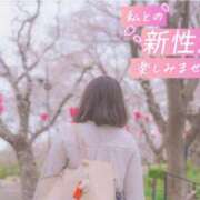 ヒメ日記 2026/04/09 14:03 投稿 ゆずは 奥様メモリアル