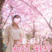 ヒメ日記 2026/04/11 09:48 投稿 ゆずは 奥様メモリアル