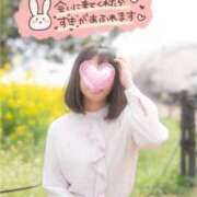 ヒメ日記 2026/04/21 13:42 投稿 ゆずは 奥様メモリアル