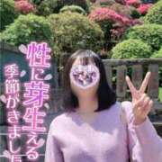 ヒメ日記 2026/04/25 16:03 投稿 ゆずは 奥様メモリアル