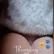 ヒメ日記 2025/11/06 14:21 投稿 のどか 丸妻 横浜本店