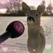 ヒメ日記 2025/10/01 10:48 投稿 みずほ　奥様 SUTEKIな奥様は好きですか?