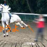 ヒメ日記 2025/11/19 19:33 投稿 みずほ　奥様 SUTEKIな奥様は好きですか?