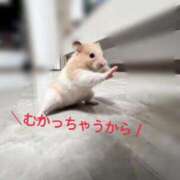 ヒメ日記 2025/12/17 19:33 投稿 みずほ　奥様 SUTEKIな奥様は好きですか?