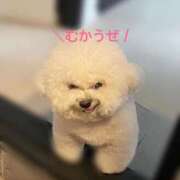 ヒメ日記 2026/08/21 20:28 投稿 みずほ　奥様 SUTEKIな奥様は好きですか?