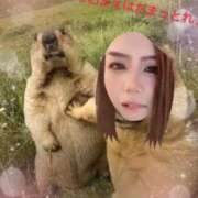 ヒメ日記 2026/09/23 00:18 投稿 みずほ　奥様 SUTEKIな奥様は好きですか?