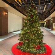 ヒメ日記 2025/12/13 16:13 投稿 あやめ ソープランド AQUA（アクア）