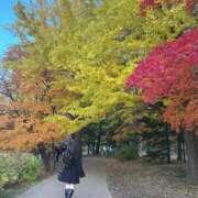 ヒメ日記 2025/12/21 19:22 投稿 あやめ ソープランド AQUA（アクア）