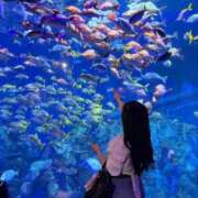 ヒメ日記 2026/06/03 16:48 投稿 あやめ ソープランド AQUA（アクア）