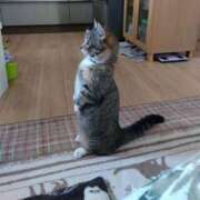 ヒメ日記 2026/03/11 14:57 投稿 ゆきみ DIVAセカンドシーズン