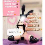 ヒメ日記 2026/02/22 10:08 投稿 るり ハピネス＆ドリーム福岡