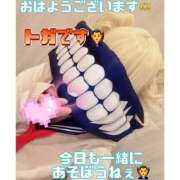 ヒメ日記 2026/04/11 08:38 投稿 るり ハピネス＆ドリーム福岡