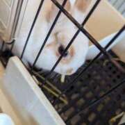 ヒメ日記 2025/10/04 21:27 投稿 みつき☆清楚美女の痴態! ポポロン☆広島