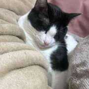 ヒメ日記 2026/03/04 17:30 投稿 にじ ミセスファースト 熊谷店 -お姉さん・若妻専門店-