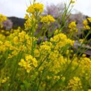 ヒメ日記 2025/10/23 23:12 投稿 しおり 横浜人妻ヒットパレード（シンデレラグループ）