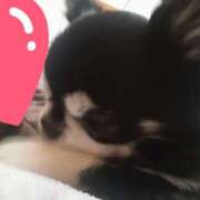 ヒメ日記 2025/10/29 13:26 投稿 しほ 横浜熟女MAX