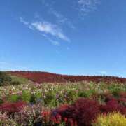 さくら オキニトークが使えないの😰 モアグループ南越谷人妻花壇