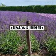 ヒメ日記 2025/09/19 11:14 投稿 ともみ 美熟女倶楽部Hip's 春日部店