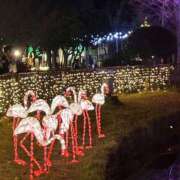 ヒメ日記 2025/09/21 10:05 投稿 ともみ 美熟女倶楽部Hip's 春日部店