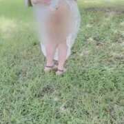 ヒメ日記 2025/09/23 08:14 投稿 ともみ 美熟女倶楽部Hip's 春日部店