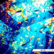 ヒメ日記 2025/09/25 09:54 投稿 ともみ 美熟女倶楽部Hip's 春日部店