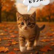 ヒメ日記 2025/09/25 11:14 投稿 ともみ 美熟女倶楽部Hip's 春日部店