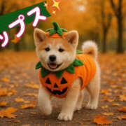 ヒメ日記 2025/09/25 16:34 投稿 ともみ 美熟女倶楽部Hip's 春日部店