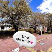 ヒメ日記 2025/09/28 20:44 投稿 ともみ 美熟女倶楽部Hip's 春日部店