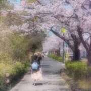 ヒメ日記 2025/10/01 09:07 投稿 ともみ 美熟女倶楽部Hip's 春日部店