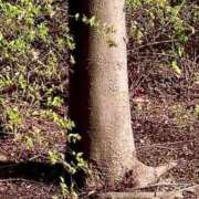 ヒメ日記 2025/10/03 19:14 投稿 ともみ 美熟女倶楽部Hip's 春日部店